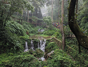 Chengdu Tour