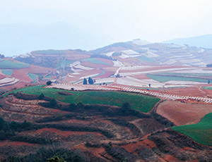 Yunnan Tour