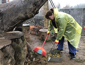 Panda Volunteer Tour