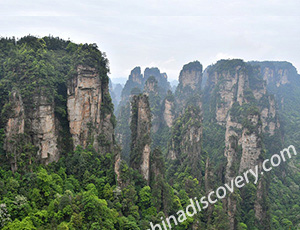 Zhangjiajie Tour