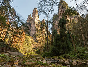 Zhangjiajie Tour