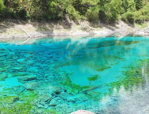 Sichuan Chengdu Jiuzhaigou Leshan Mount Emei Tour