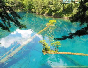 Sichuan Jiuzhaigou Tour