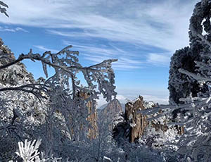 Huangshan Tour