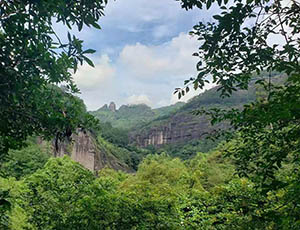 Fujian Wuyishan Tour