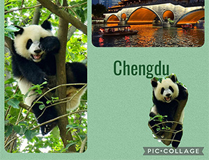 Chengdu Tours