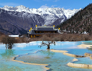 Sichuan Tour