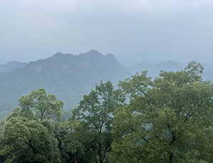 Dujiangyan Tour