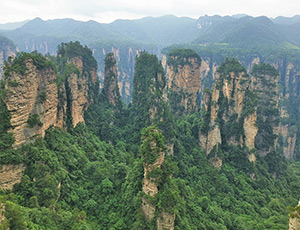 Zhangjiajie Tour