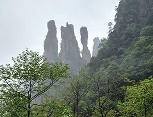 Zhangjiajie Tour