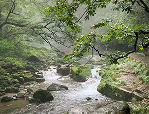 Zhangjiajie Tour