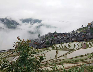 Guizhou Tour