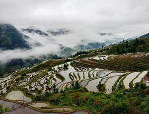 Guizhou Tour