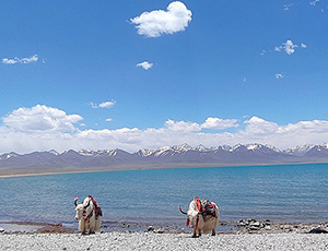 Tibet Tour