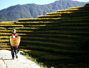 Guilin Tour