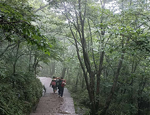 Huangshan Tours