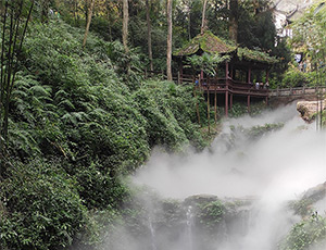 Dujiangyan Tour