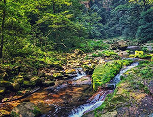 Zhangjiajie Tour