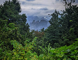 Zhangjiajie Tour