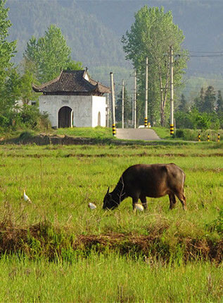 Shanxi Tour