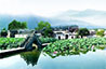 Henan Tours 2025/2026
