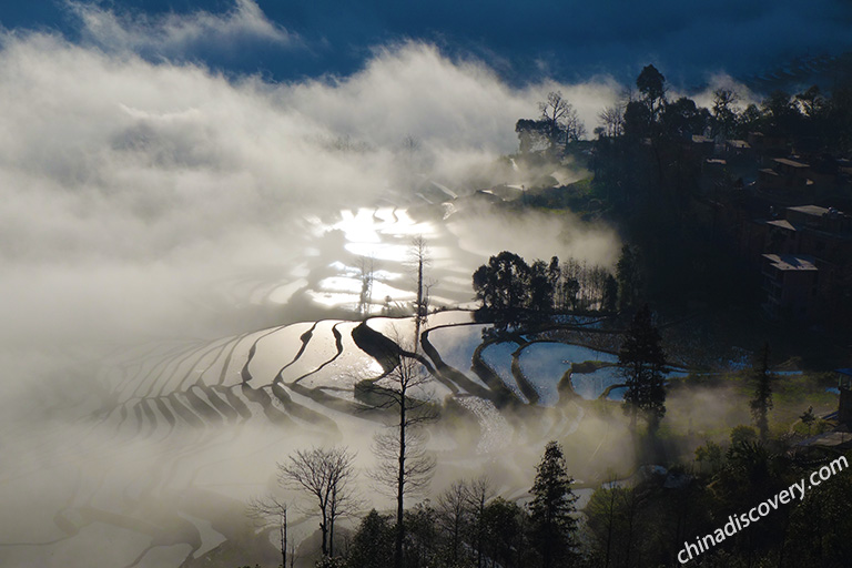 Yuanyang Rice Terraces