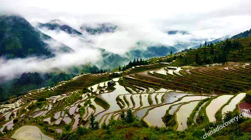 Jiabang Rice Terrace in Guizhou