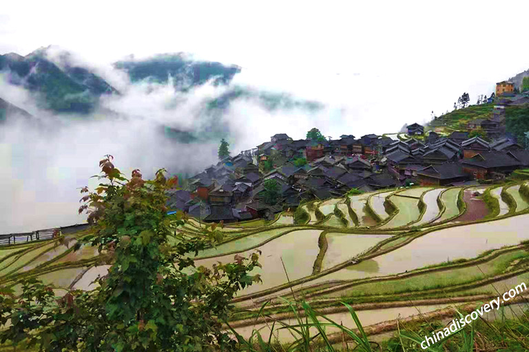 Guizhou Jiabang Rice Terrace