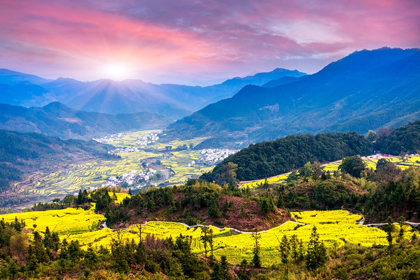 Jiangxi Jiangling Rice Terrace