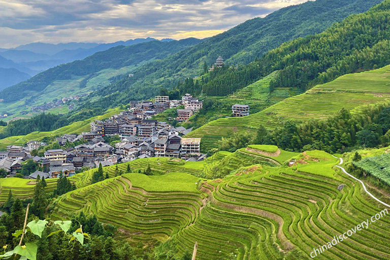 Longji Rice Terrace