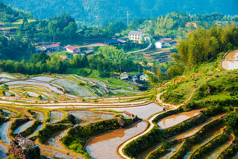 Zhejiang Yunhe Rice Terrace