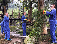 Panda Volunteer Program