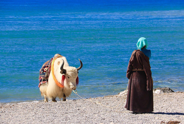 Namtso Lake