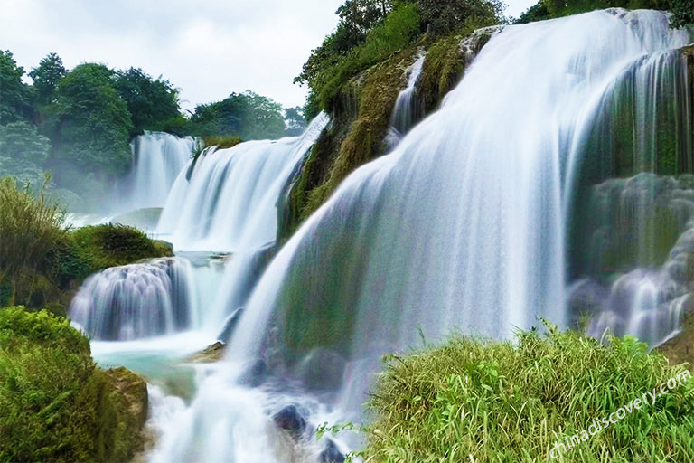 Detian Waterfall Detian Waterfall