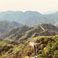 Badaling Great Wall