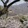 Badaling Great Wall