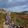 Badaling Great Wall