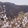 Mutianyu Great Wall