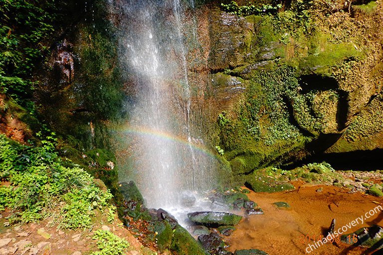 Bifengxia Valley