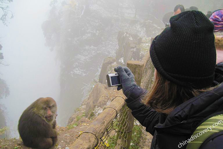 Mount Emei