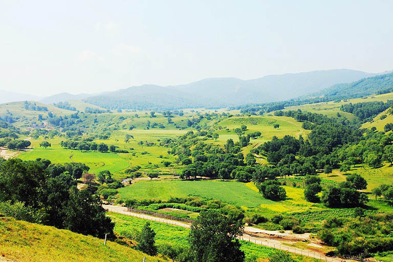 Bashang Grassland