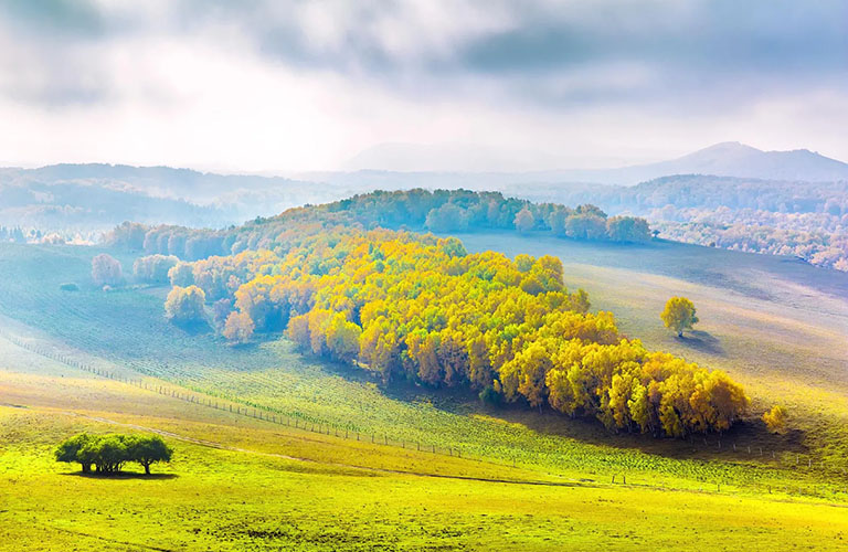 Bashang Grassland