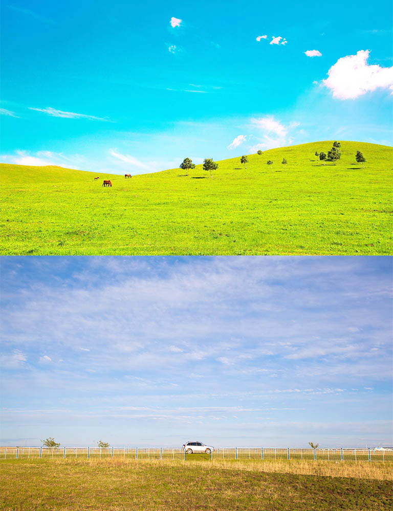 Bashang Grassland