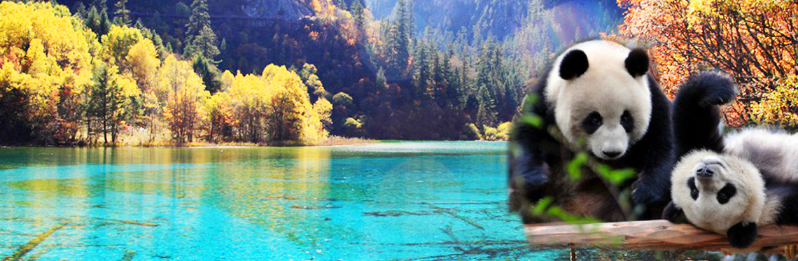 Chengdu Jiuzhaigou Tour