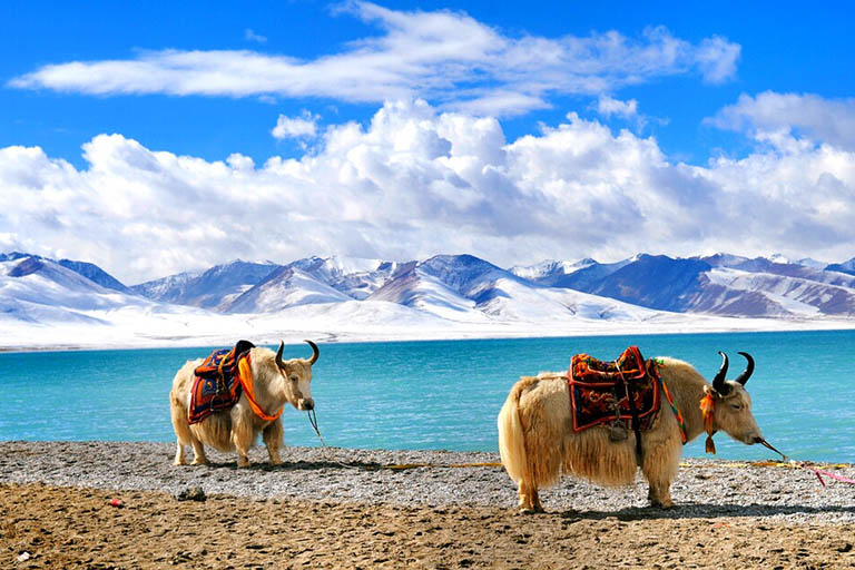 Namtso Lake