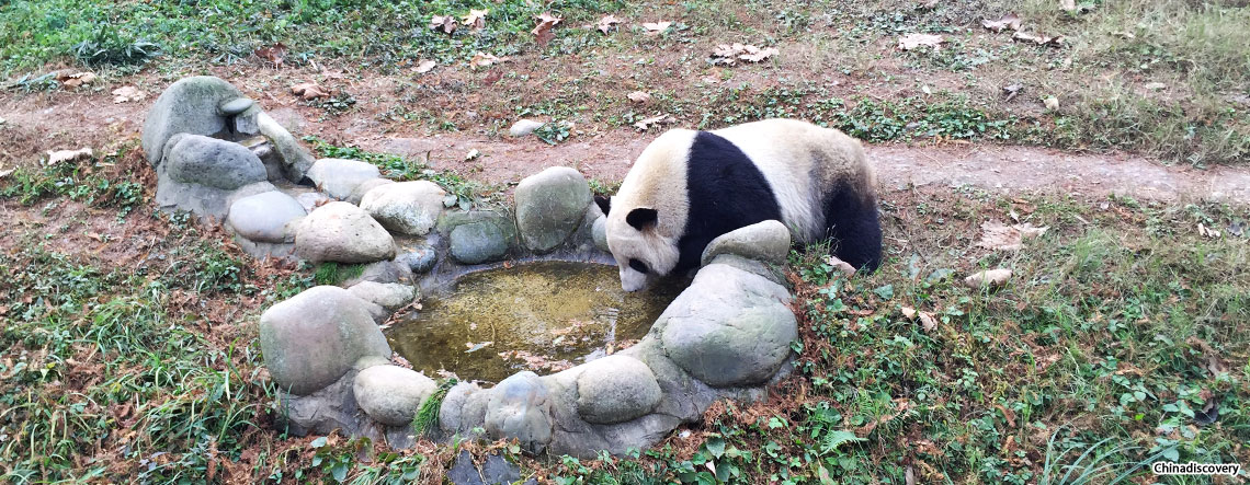 Chengdu Lhasa Yangtze Tour