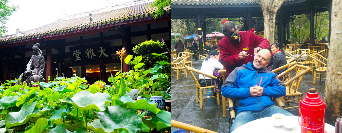 Sichuan Wolong Panda Tour - Chengdu Tour 