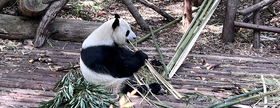 Tibet Nepal Tour from Chengdu