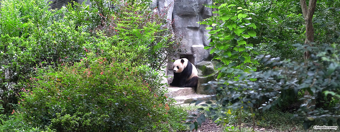 Chengdu Tibet Tour 2024