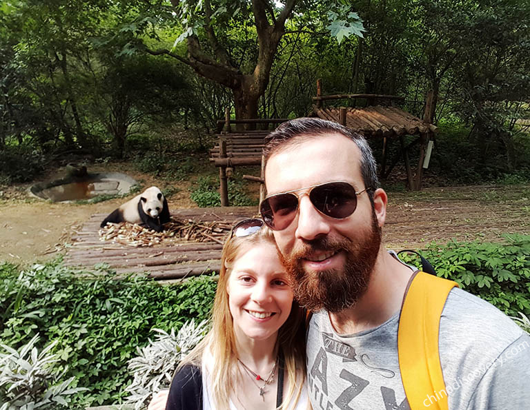 Customer's family trip in Chengdu Panda Base